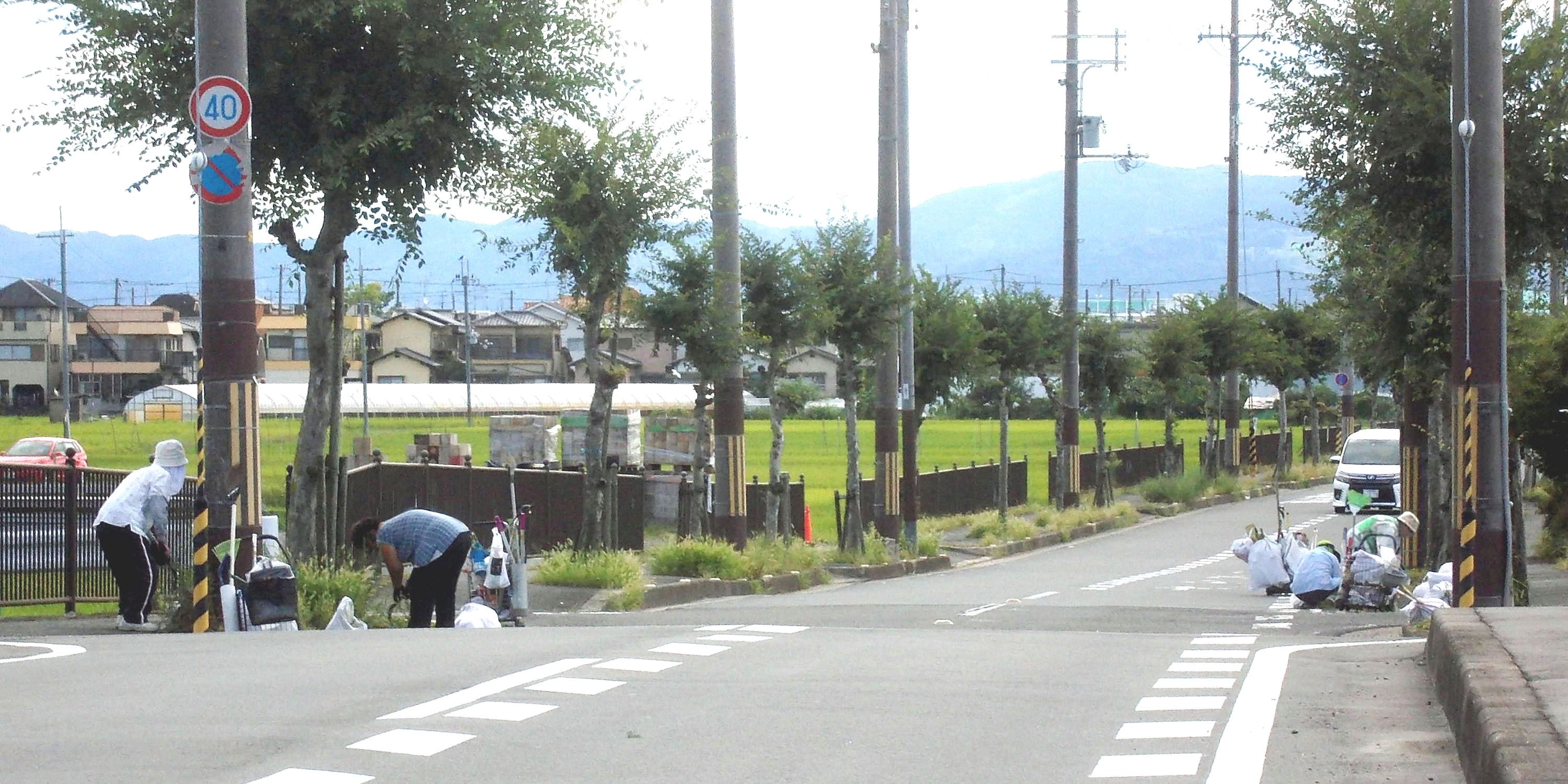 ▲ 9月12日(土） 残暑の清掃　(八幡苗田付近)