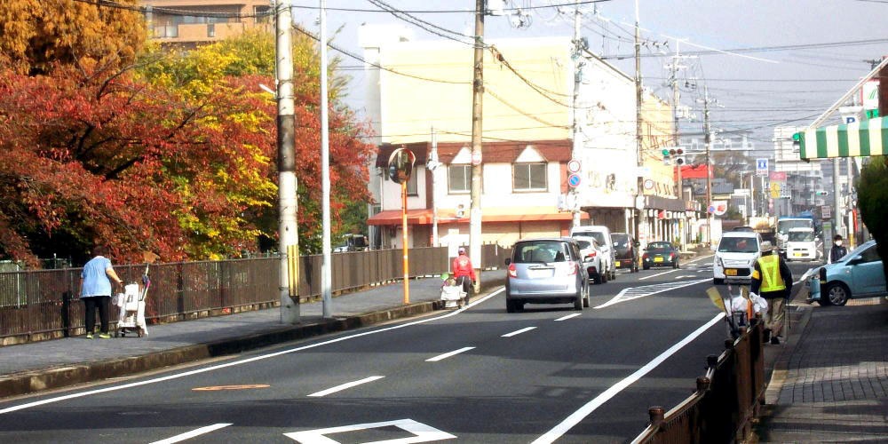 ▲ 11月8日(日） 府道の清掃（八幡三本橋付近）