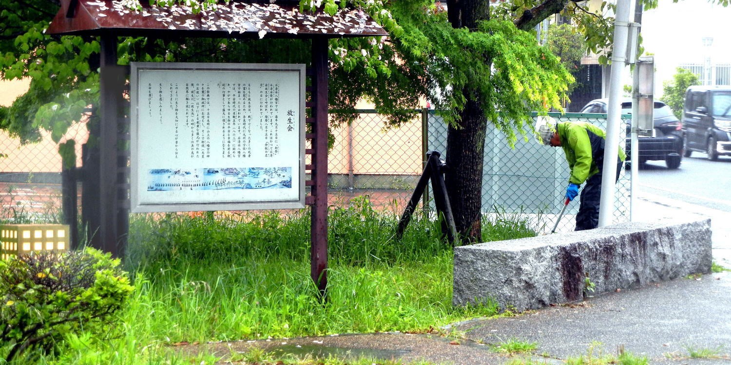 ▲ 4月29日(祝) こだま公園横(南側)の清掃 (八幡三本橋)