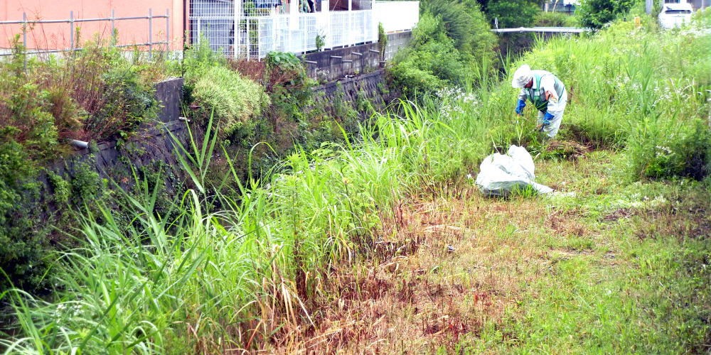 ▲ 6月19日(土) 水路の天端清掃　（八幡薗内付近）