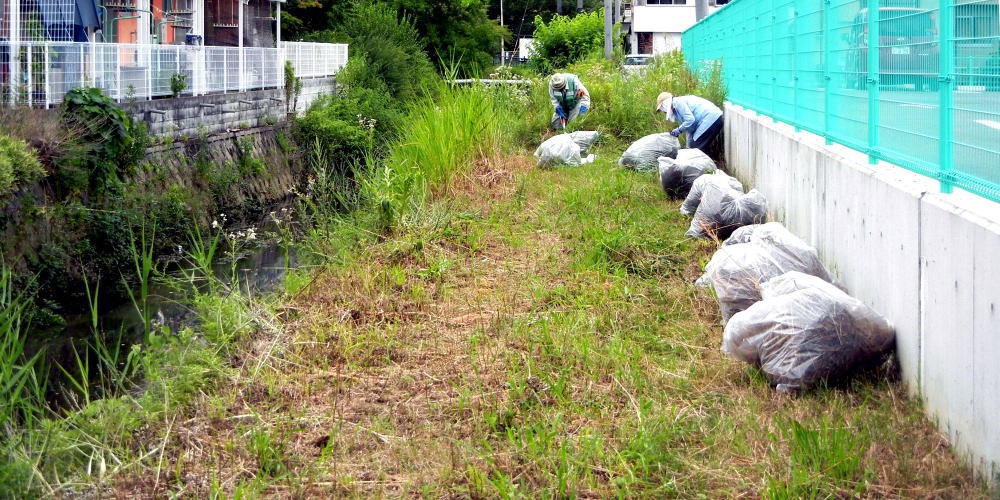 ▲ 6月27日(土) 水路の天端清掃　（八幡薗内付近）