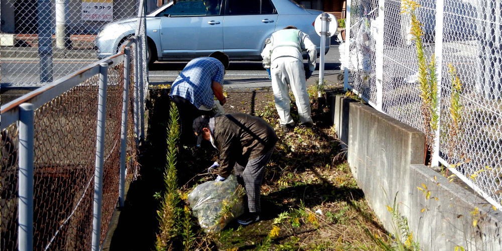 ▲ 11月13日(土) 府道脇の清掃 (八幡源氏垣外付近)