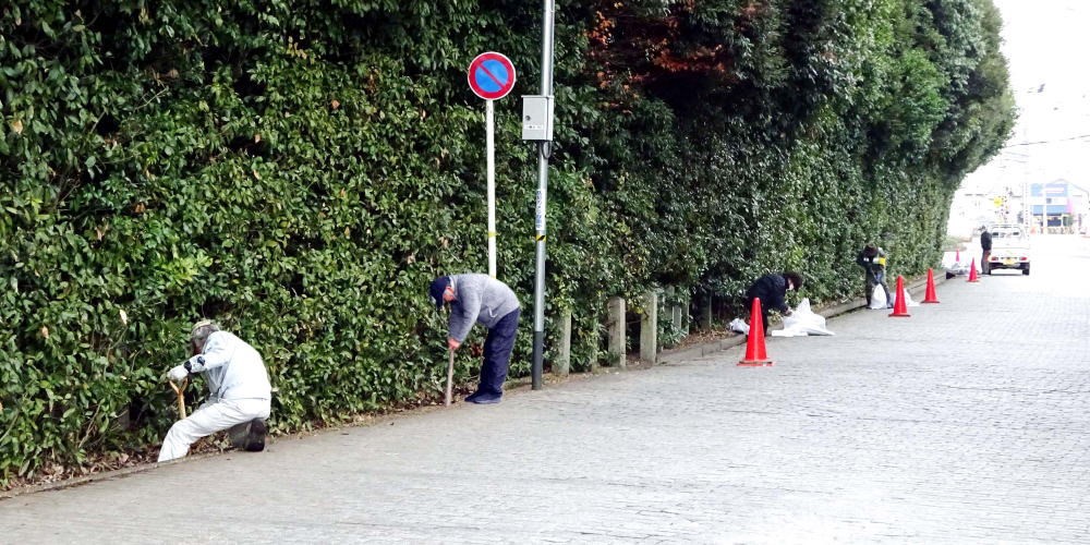 ▲	12月12日 参道に沿った側溝と道路清掃