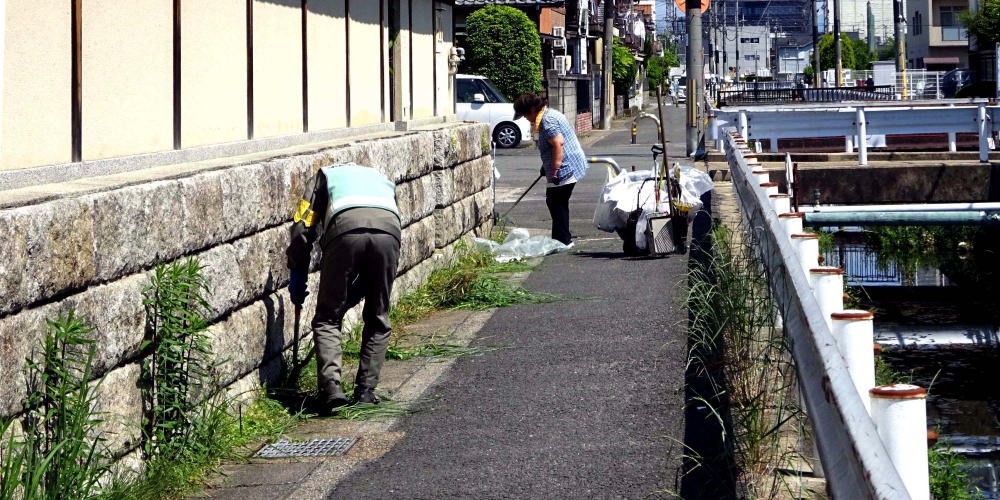 ▲ 5月7日(土) 府道の清掃（八幡軸付近）