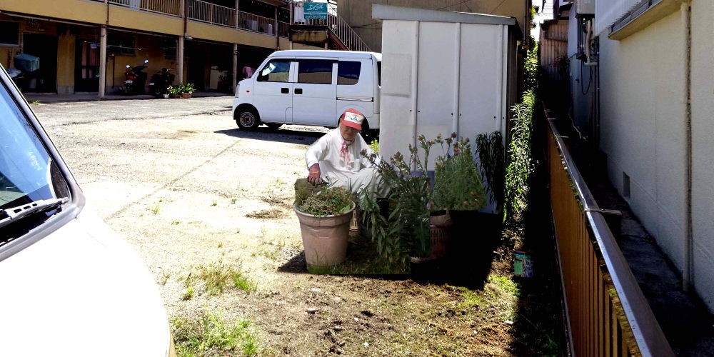 ▲	繁茂する雑草の処理　(八幡五反田)