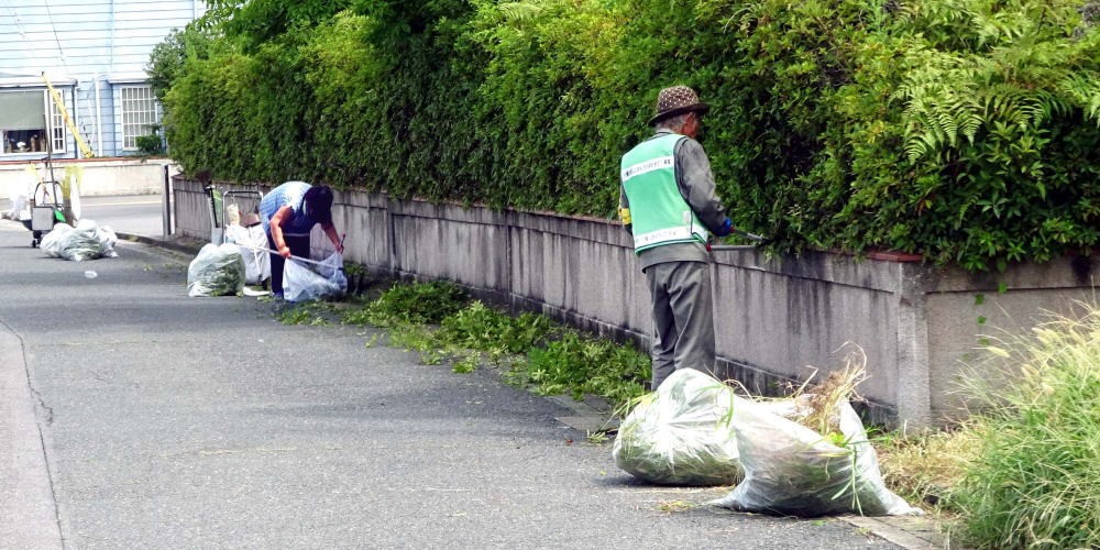 ▲	 7月30日(土) 住宅街の清掃 (男山中学校付近)