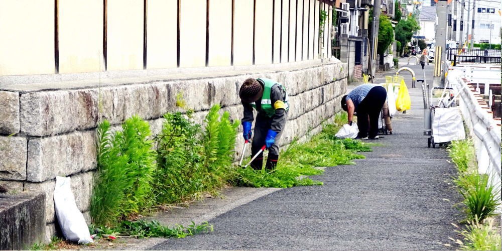 ▲ 8月11日(祝) 住宅街の清掃（八幡軸付近）